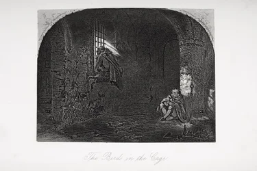 Gli uccelli nella gabbia, illustrazione da 